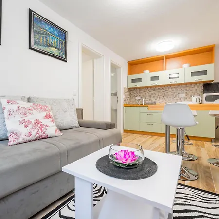 Apartment Roma Baska Voda